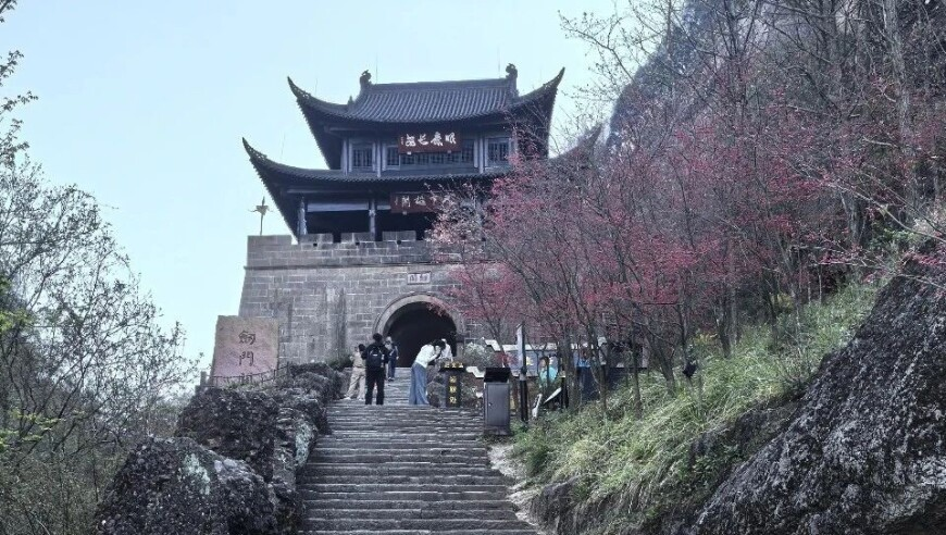 饺子终于从1亿画到百亿,管家婆一码一肖资料大传,精准解释落实的人生哲理_经典版V10.75